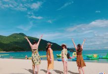 Cham island travel experience in 1 day Cham Island - Hoi An